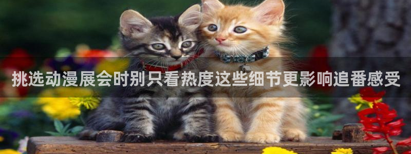age动漫ipadapp下载：挑选动漫展会时别只看热度这些细节更影响追番感受配图