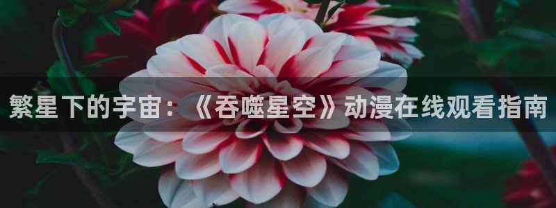 age动漫下载合集：繁星下的宇宙：《吞噬星空》动漫在线观看指南配图