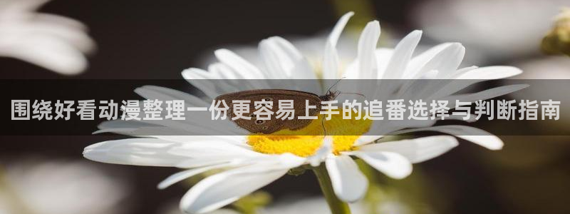 age 动漫下载老版：围绕好看动漫整理一份更容易上手的追番选择与判断指南配图