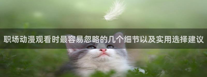 age动画动漫下载：职场动漫观看时最容易忽略的几个细节以及实用选择建议配图