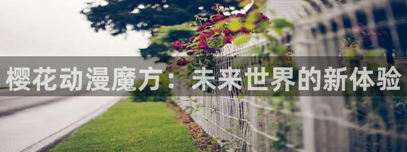动漫下载 AGE：樱花动漫魔方：未来世界的新体验配图