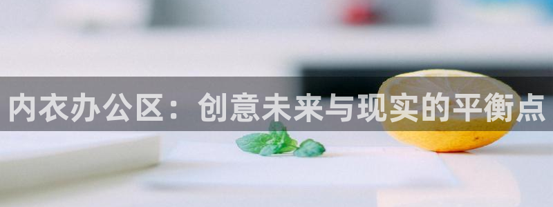 age动漫下载知乎：内衣办公区：创意未来与现实的平衡点配图