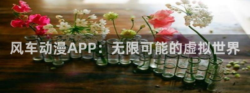 age动漫的下载：风车动漫APP：无限可能的虚拟世界配图