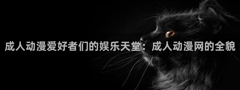 age 动漫下载:成人动漫爱好者们的娱乐天堂:成人动漫网的全貌配图